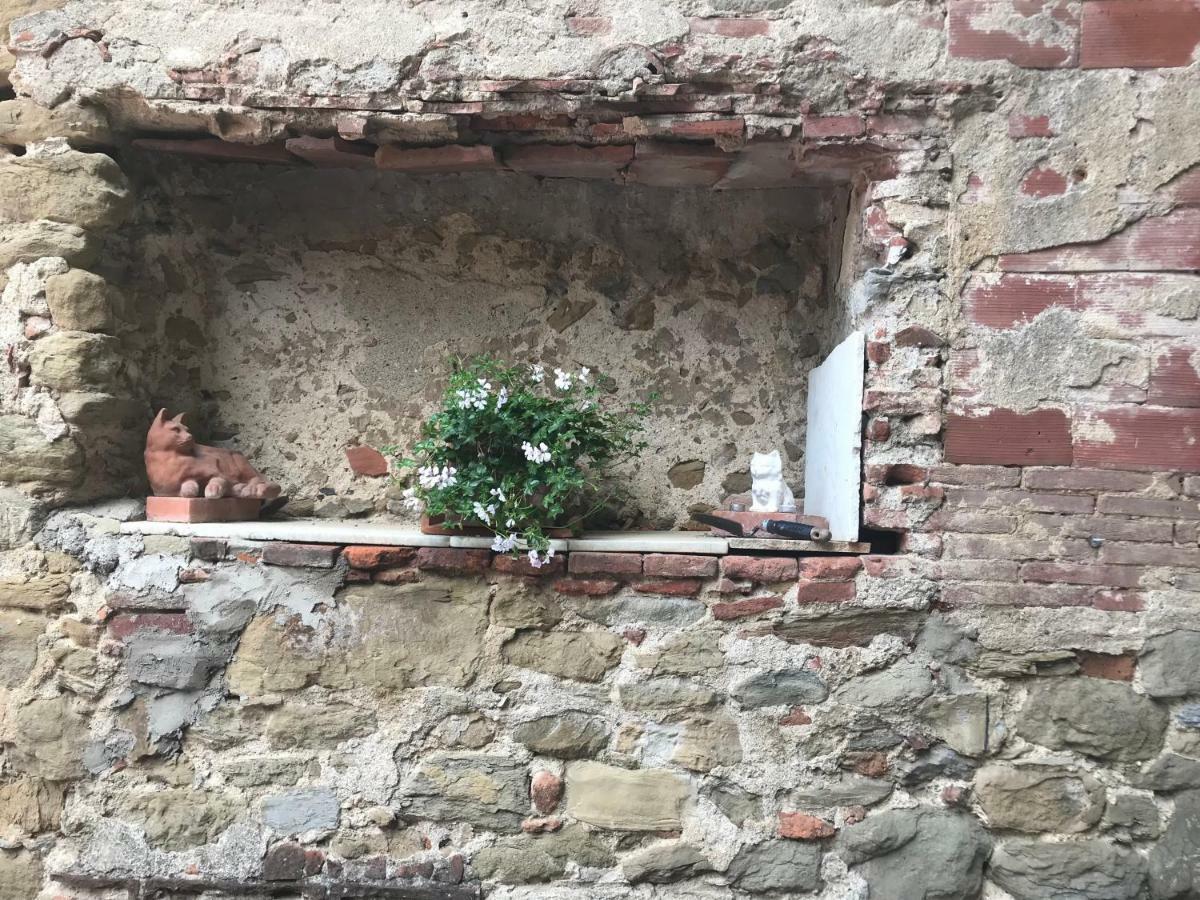 Camera E Appartamento Toscana - B&B Palazzo Robicci Кастильон-Фьорентино Экстерьер фото